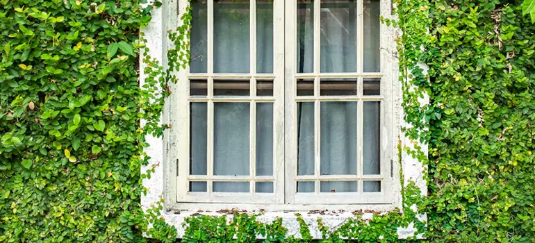 Garden Window Repair Near Me in Cupertino, CA