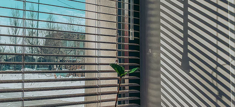 Commercial Window Blinds in Cupertino, CA